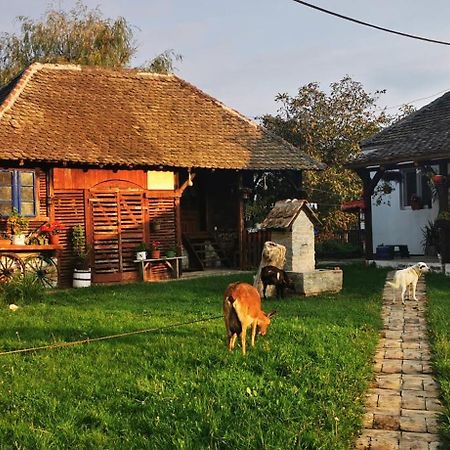 Apartamento Etno Domacinstvo Miris Bosiljka Mislodin Exterior foto