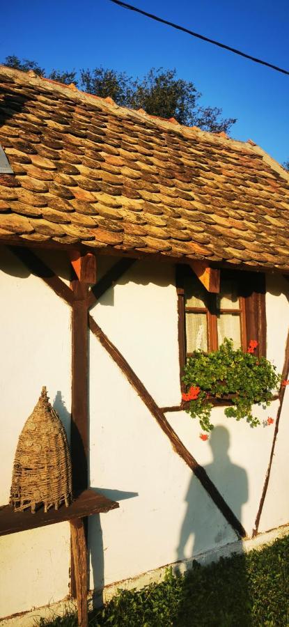 Apartamento Etno Domacinstvo Miris Bosiljka Mislodin Exterior foto