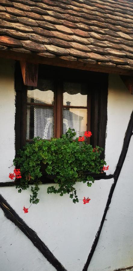 Apartamento Etno Domacinstvo Miris Bosiljka Mislodin Exterior foto