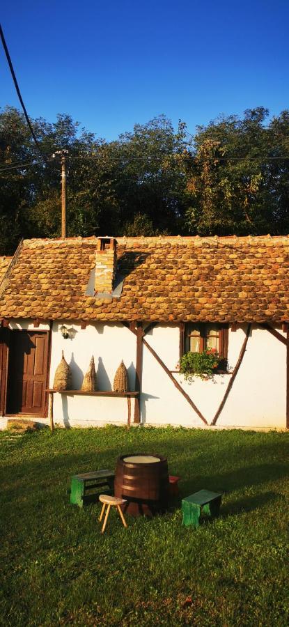 Apartamento Etno Domacinstvo Miris Bosiljka Mislodin Exterior foto